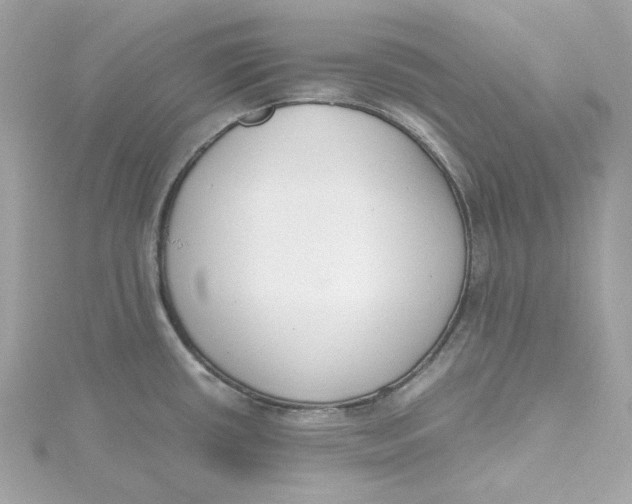 X0000115441434200911251237