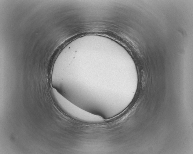 X0000115441449200911251236