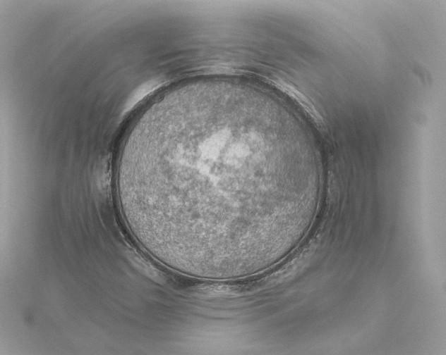 X0000115441450200911251236