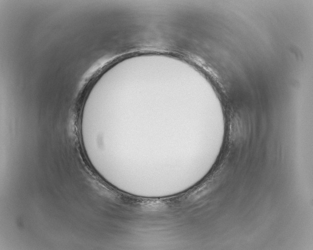 X0000115441454200911251236