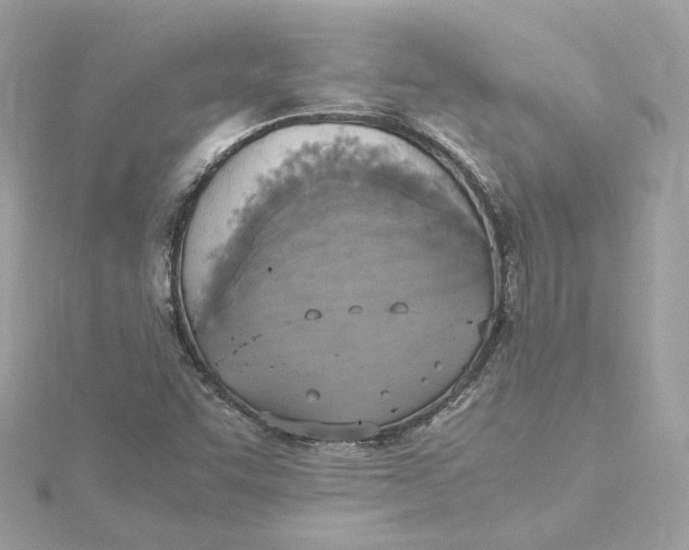 X0000115441455200911251236