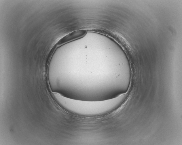 X0000115441457200911251236
