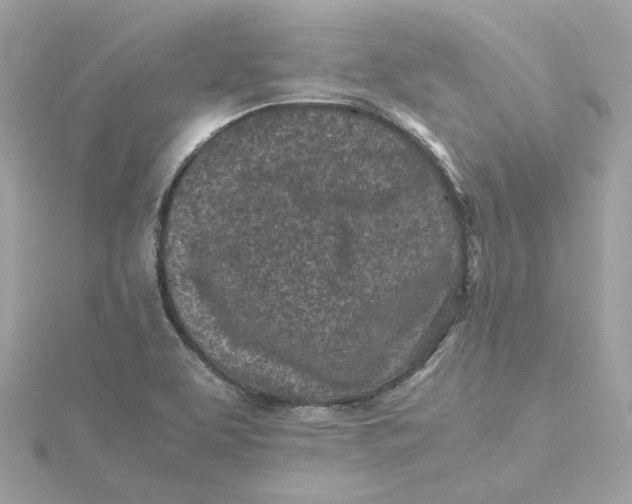X0000115441463200911251236
