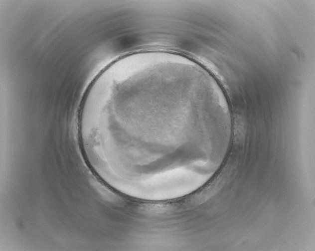 X0000115441474200911251236