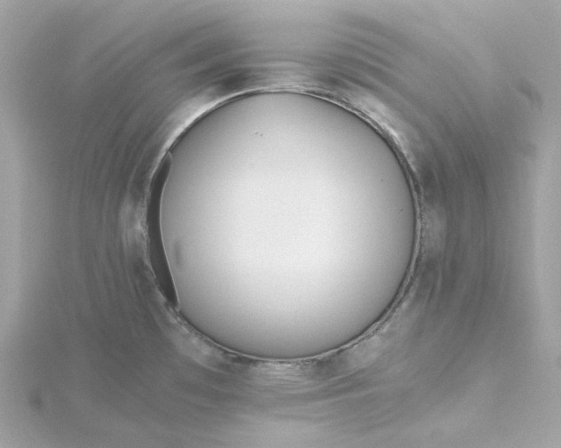 X0000115441481200911251236