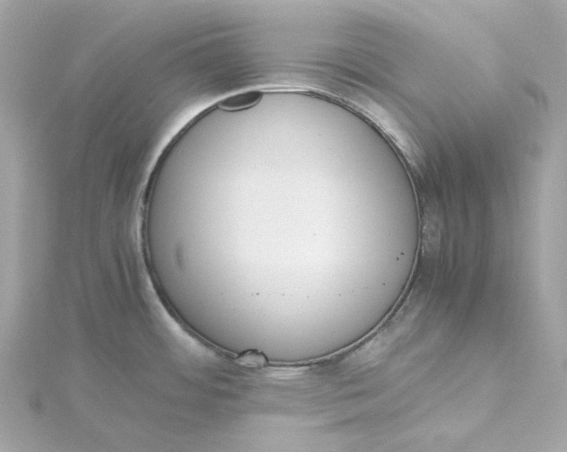X0000115441484200911251236