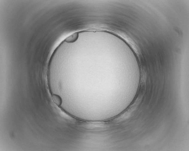 X0000115441486200911251236