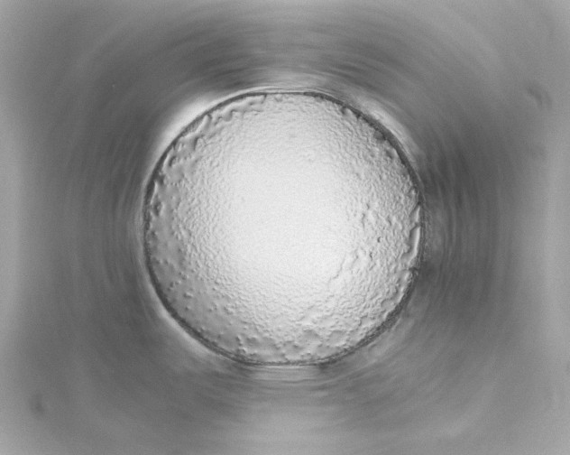 X0000115441487200911251236