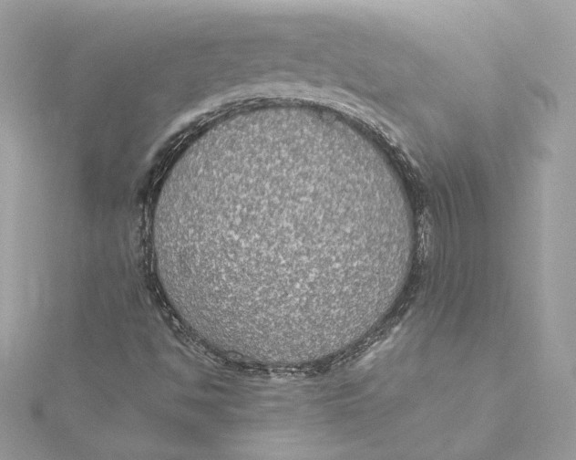 X0000115441494200911251235