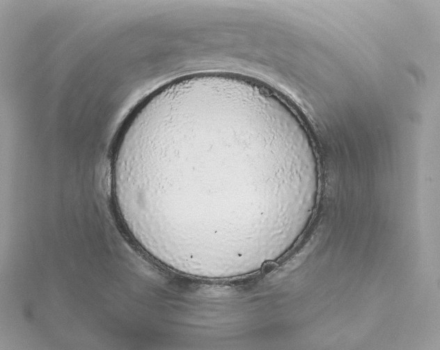 X0000115441509200911251235