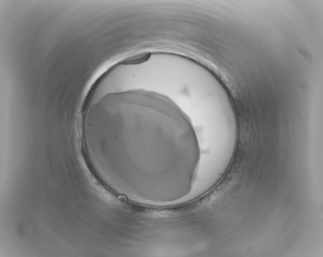 X0000115441522200911251235