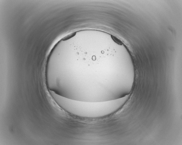 X0000115441530200911251236