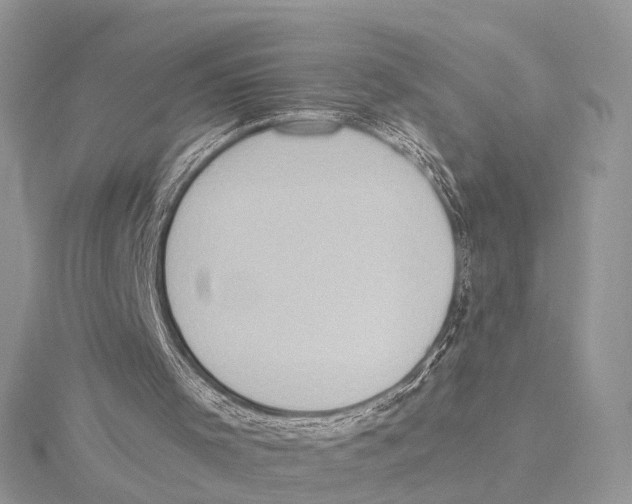 X0000115440001200912020954