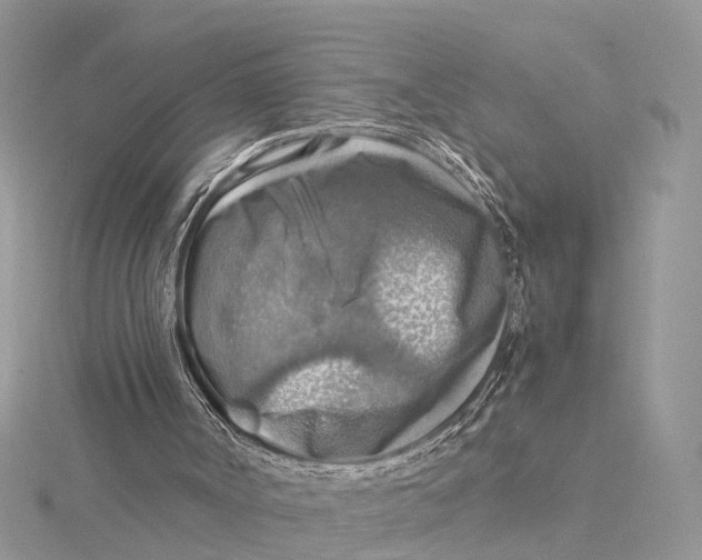 X0000115440002200912020954