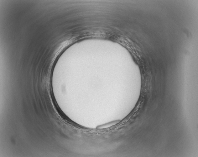 X0000115440003200912020954