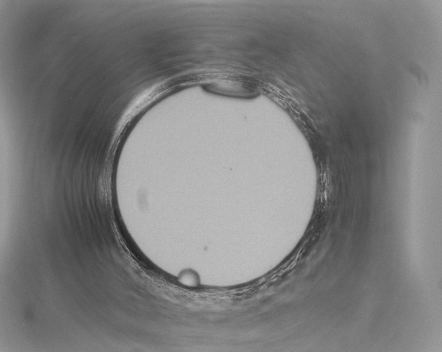 X0000115440004200912020954