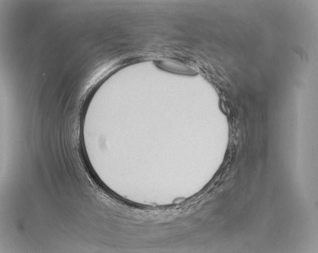 X0000115440005200912020954