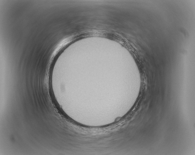 X0000115440006200912020954