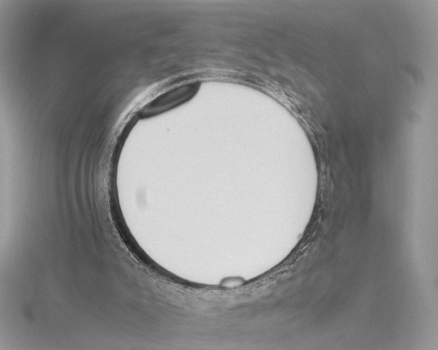 X0000115440007200912020954