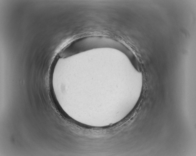 X0000115440008200912020954