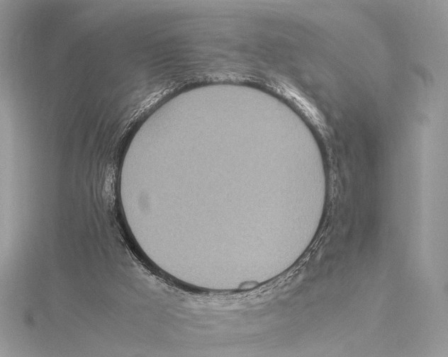 X0000115440009200912020954