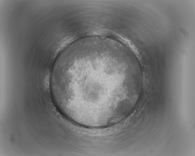 X0000115440010200912020954