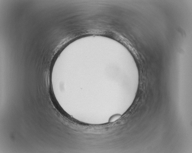 X0000115440011200912020954