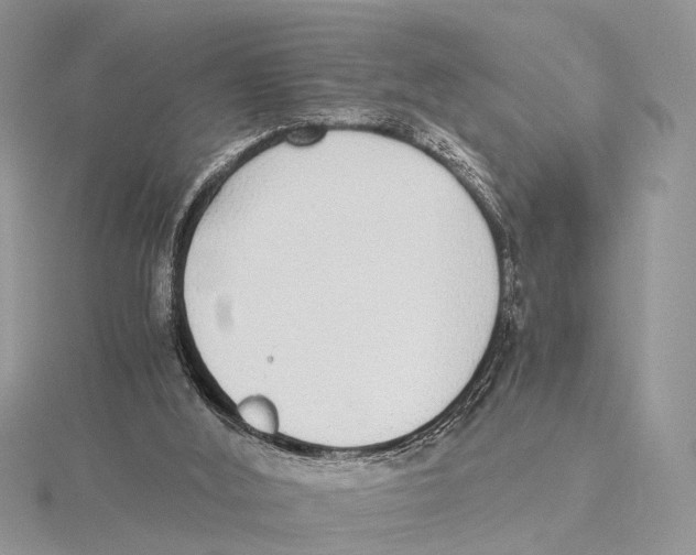 X0000115440012200912020954