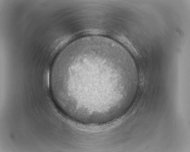 X0000115440014200912020954