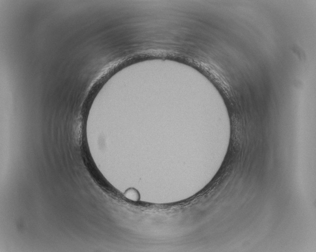 X0000115440016200912020954