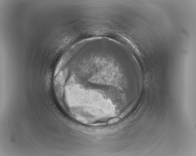 X0000115440018200912020954