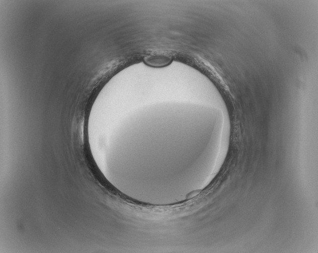 X0000115440019200912020954