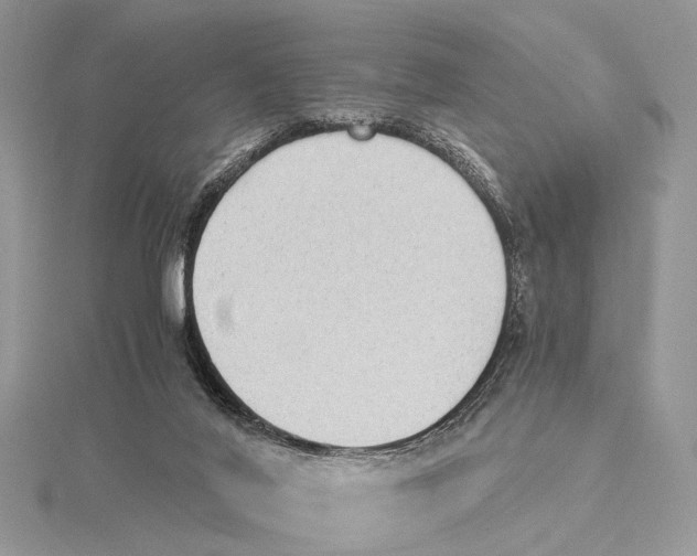 X0000115440020200912020954