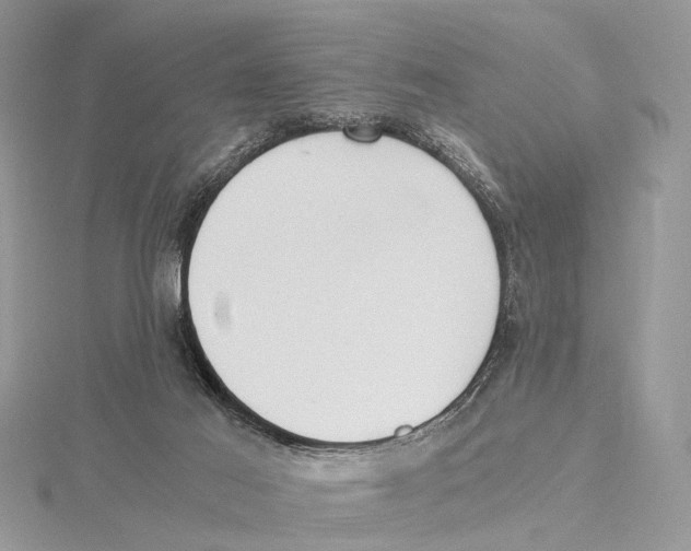 X0000115440021200912020954