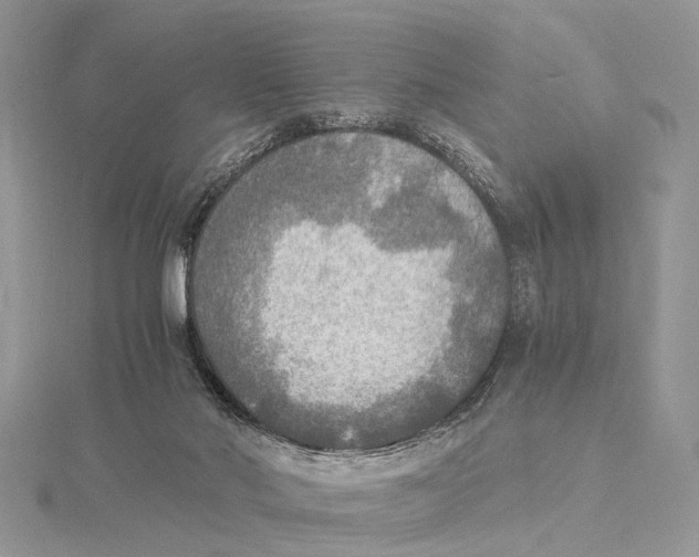 X0000115440022200912020954