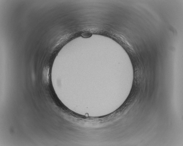 X0000115440024200912020954