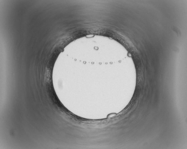 X0000115440025200912020954