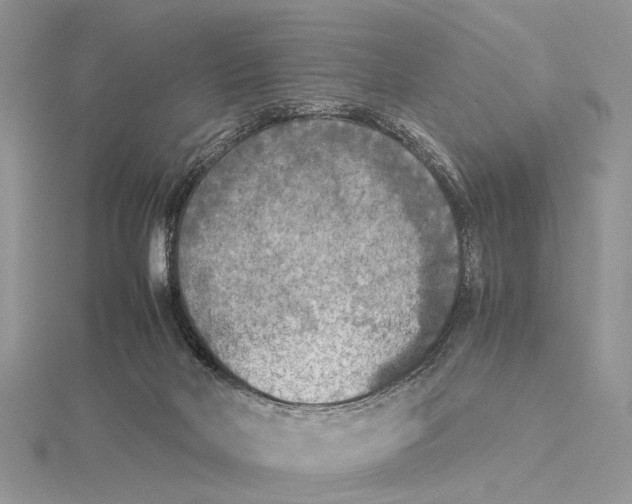 X0000115440026200912020954