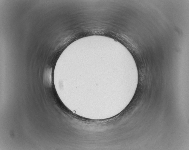 X0000115440028200912020954