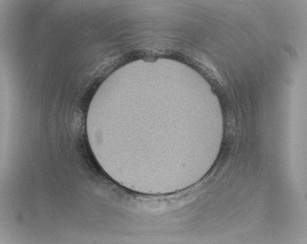 X0000115440029200912020954