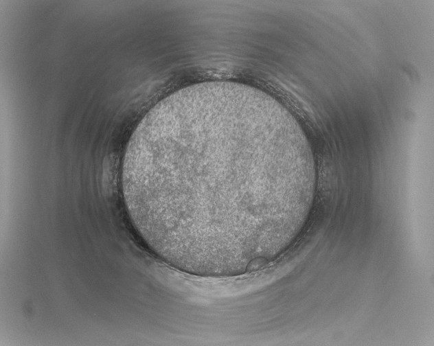 X0000115440030200912020954