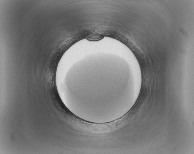 X0000115440031200912020954