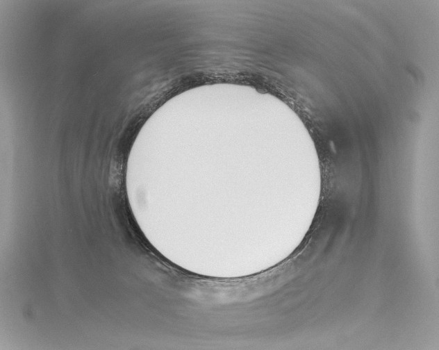 X0000115440033200912020954