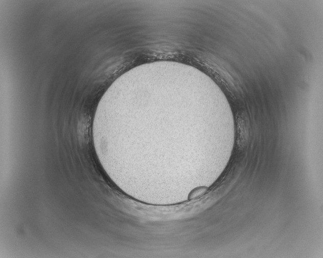 X0000115440034200912020954