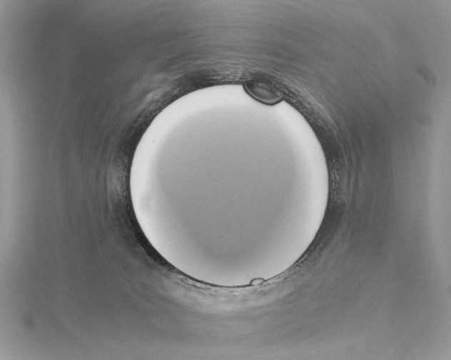 X0000115440035200912020954