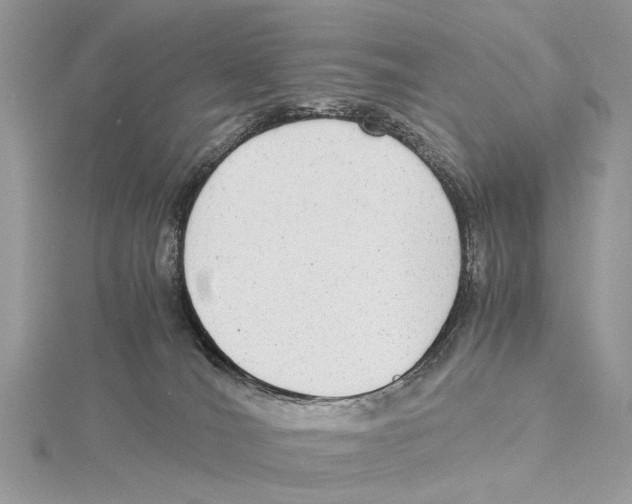 X0000115440036200912020954