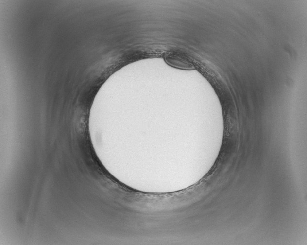 X0000115440037200912020954