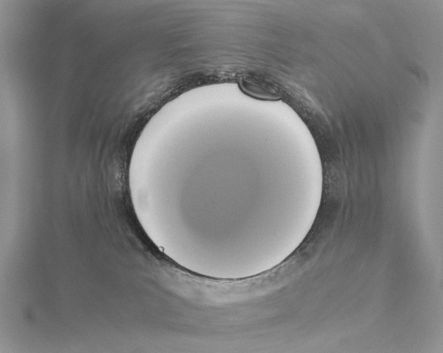 X0000115440039200912020954