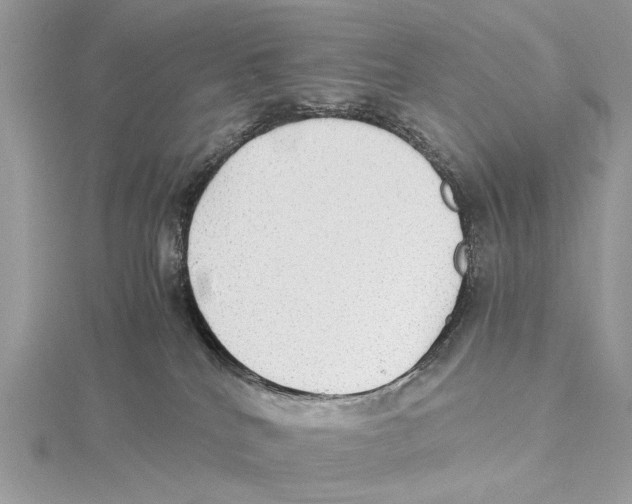 X0000115440040200912020954