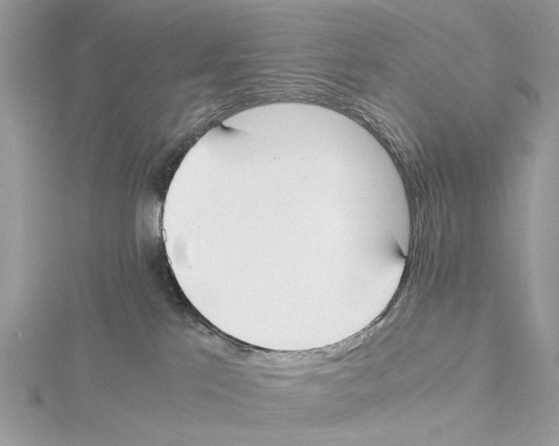 X0000115440041200912020954